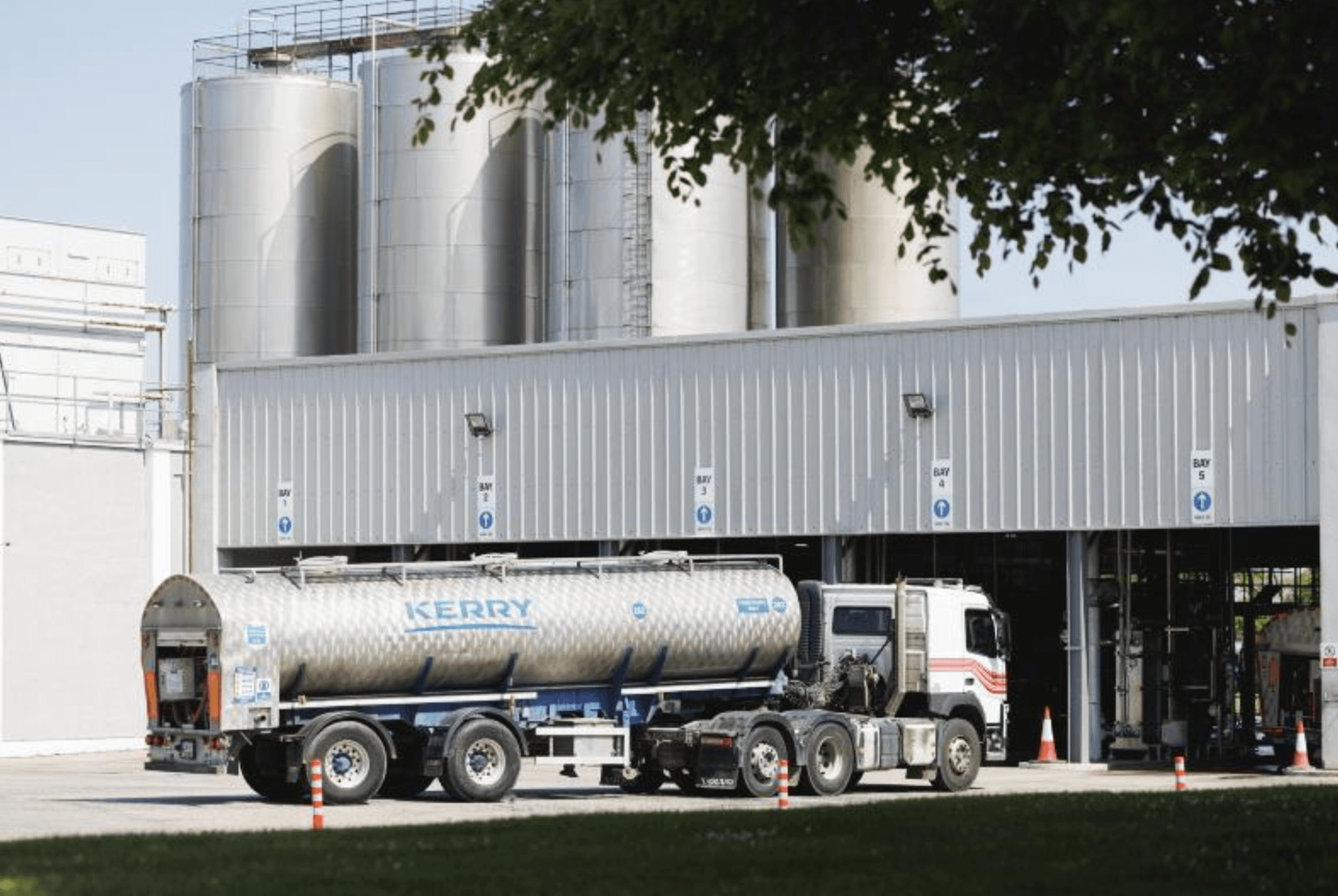 The Kerry Dairy Ireland team at work