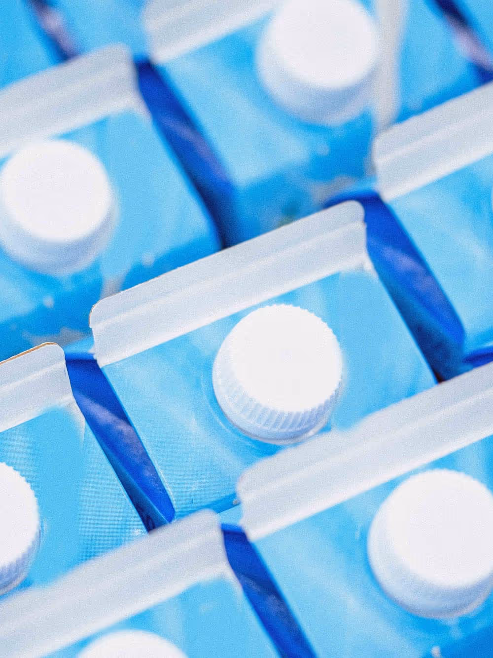 Rows of milk cartons