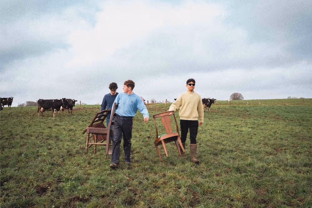 Two people carrying chairs across a field with cows behind them